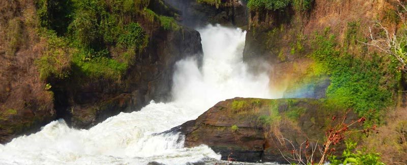 2 Days Murchison Falls Safari