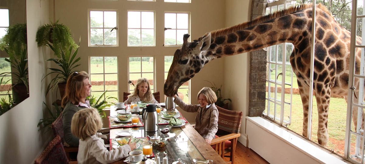 8 Days Kenya Luxury Safari