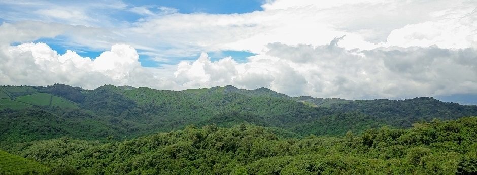 Gishwati-Mukura National Park