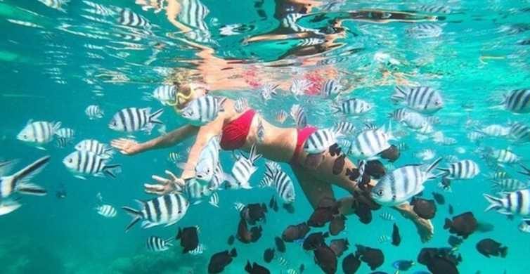 Half-Day - Mnemba Island Snorkeling Tour