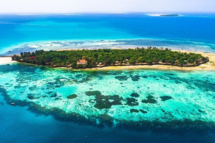 Half-Day - Prison Island/ Changuu Island Tour