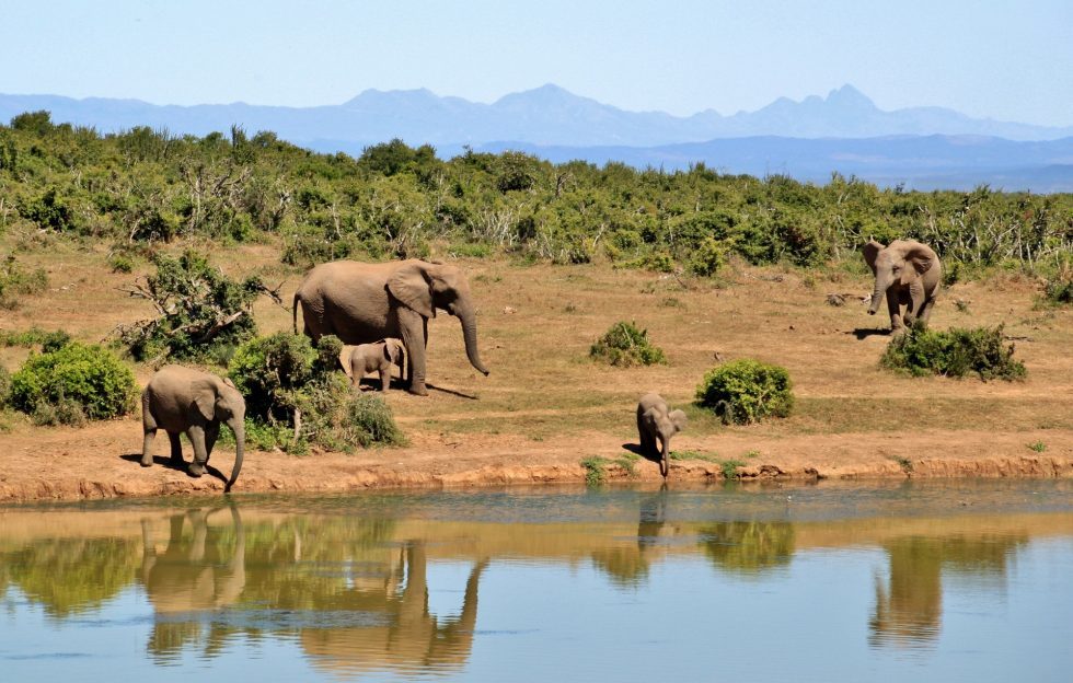 Malka Mari National Park