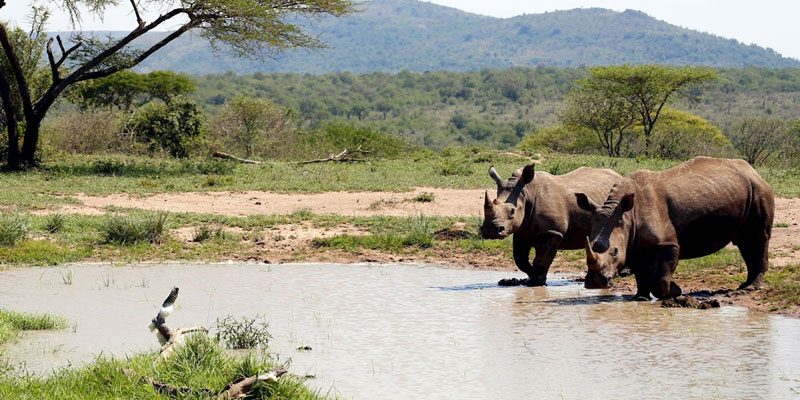 Rwanda National Parks and Game Reserves