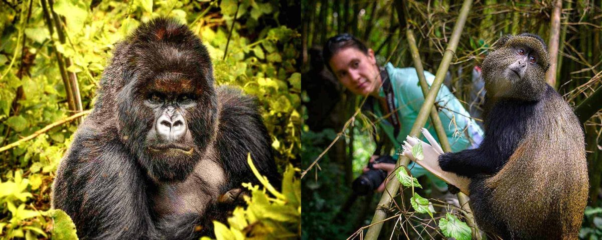 Rwanda Parks and Reserves