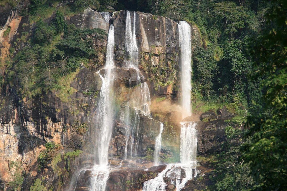 Udzungwa Mountains National Park