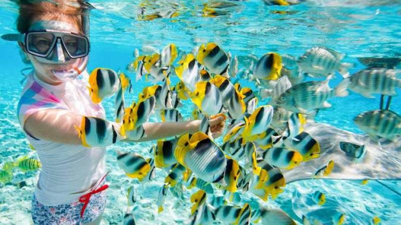 Zanzibar Bawe Island Snorkeling