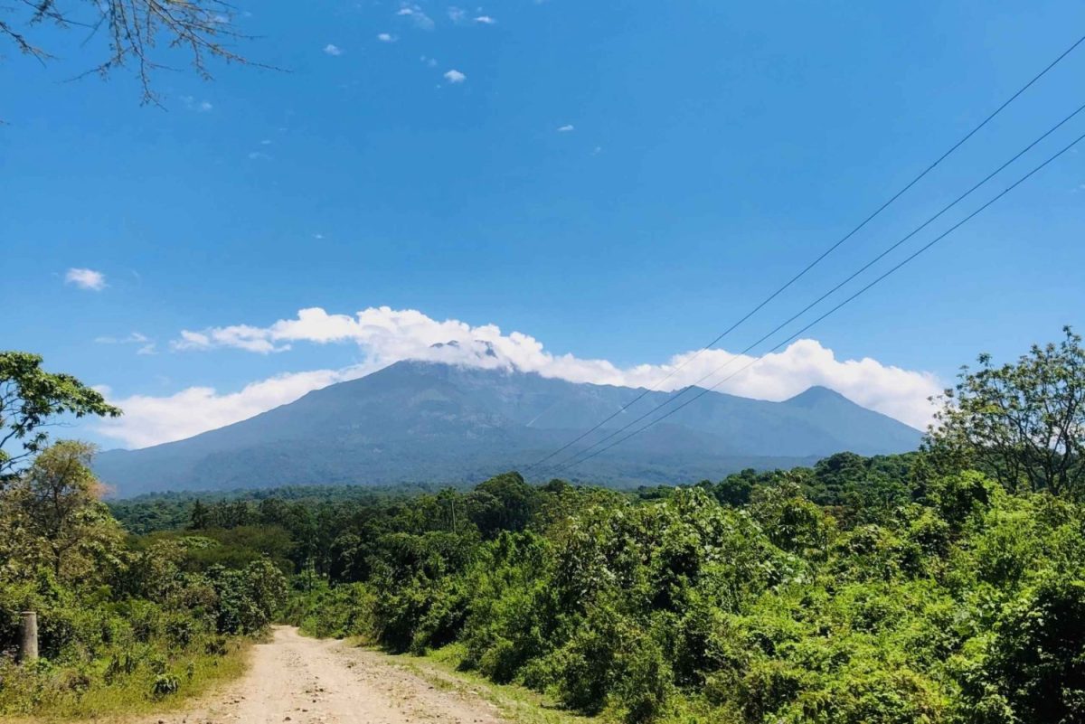 5-Day Tanzania