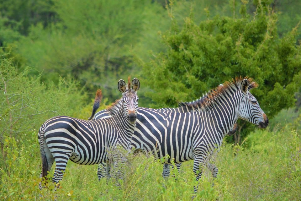 Arusha Serengeti