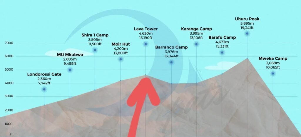 Assessing Your Fitness for Climbing Kilimanjaro