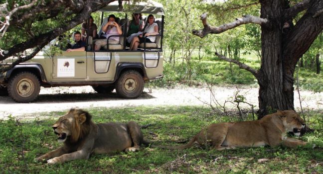 Best Time to Visit Selous Game Reserve