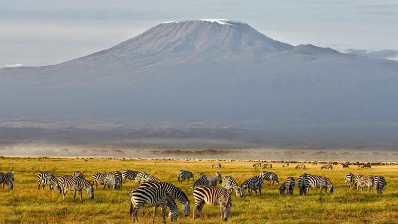 Climbing Kilimanjaro in June: Essential Tips