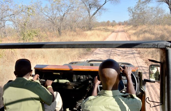 Discovering Ruaha National Park: Essential Facts