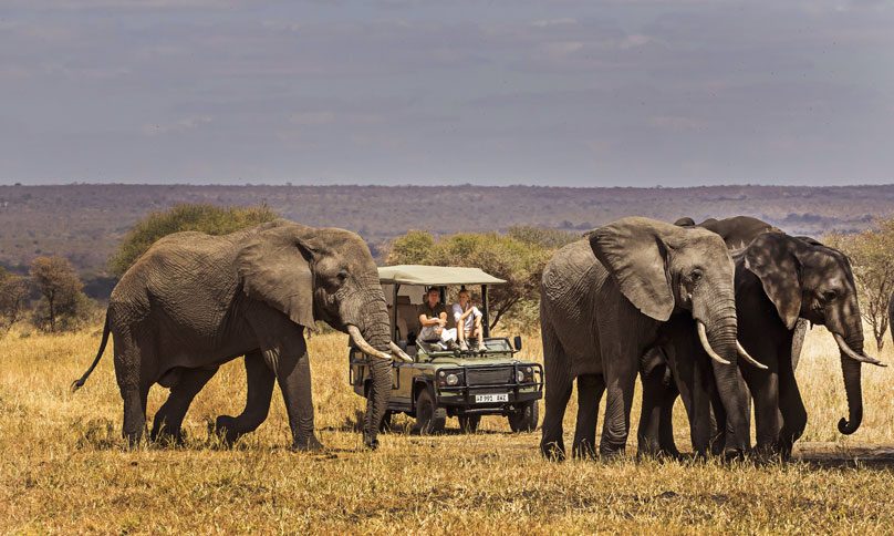 Discovering Tarangire National Park: Key Facts