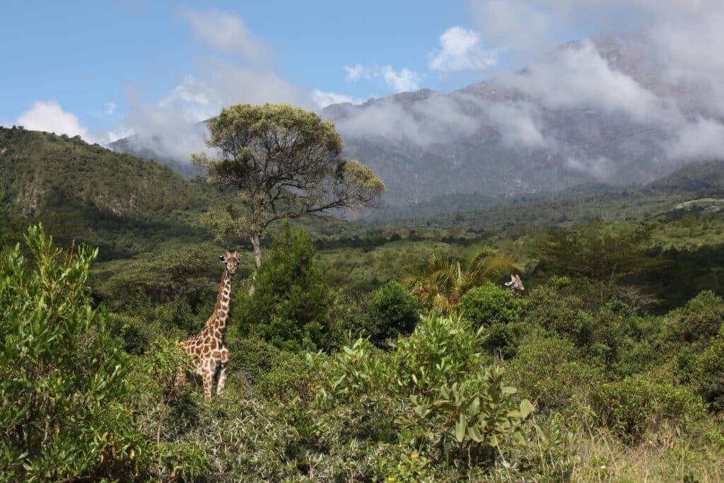 Discovering the Fascinating Arusha National Park Facts