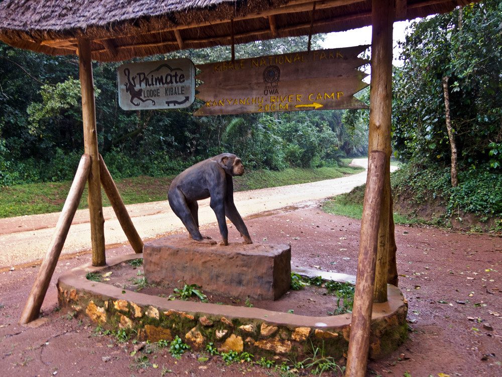 Distance Between Kibale and Queen Elizabeth National Parks