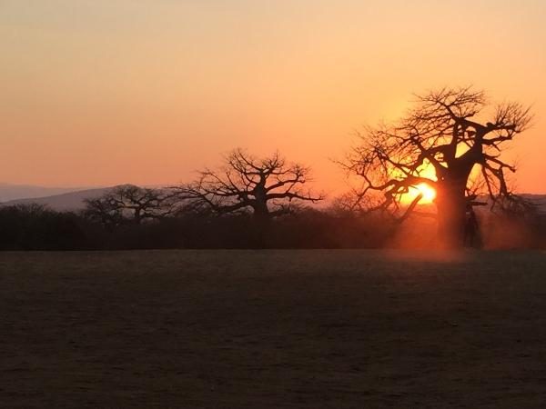 Distance from Iringa Town to Ruaha National Park: A Comprehensive Guide