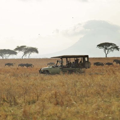 Distance from Lake Manyara to Serengeti National Park: A Comprehensive Guide