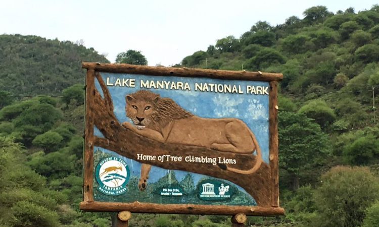 Exploring Accommodation Options in Lake Manyara National Park