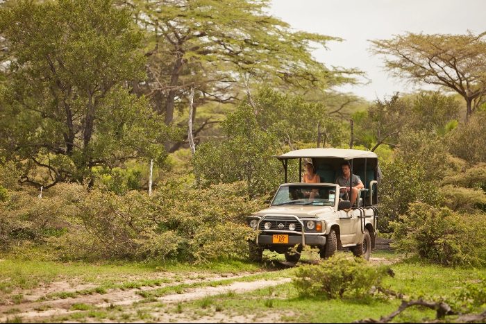 Exploring Beho Beho Nyerere National Park