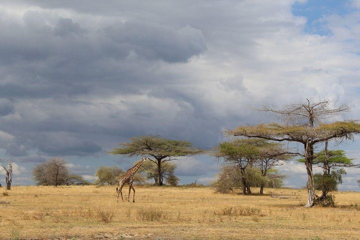 Exploring Camps in Selous Game Reserve