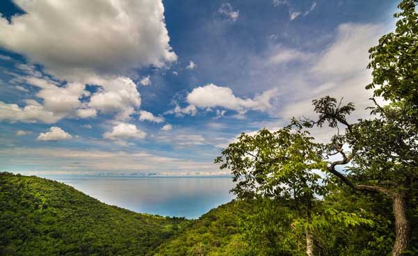 Exploring Gombe Stream National Park in Tanzania