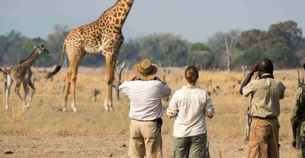 Exploring saadani national park a day trip guide