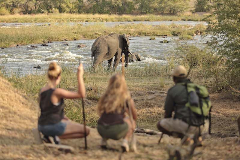 Exploring Selous Game Reserve on an African Safari