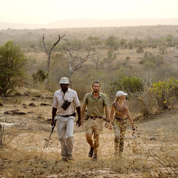 Exploring Tanzania: A Guide to Safari Destinations