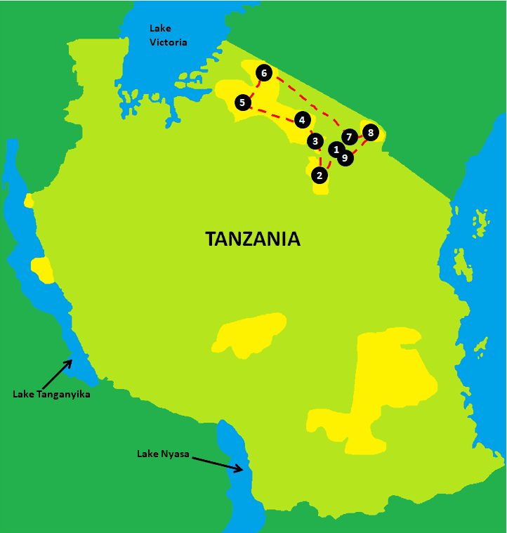 Exploring Tanzania's Top Safari Parks