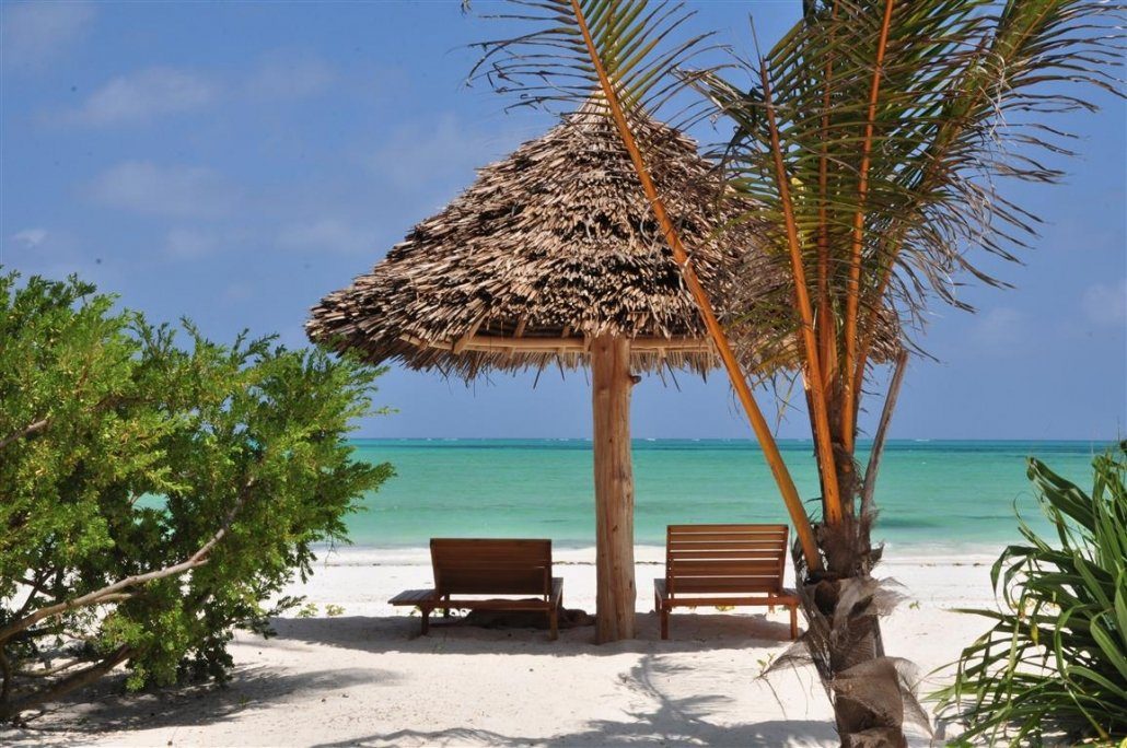 Exploring the Beaches of Tanzania