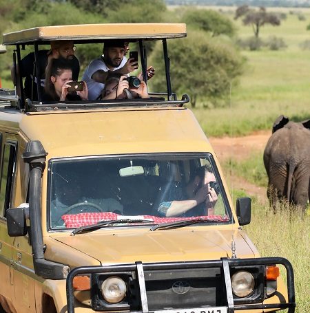Exploring the Best of Tanzania: 6-Day Safari Adventure