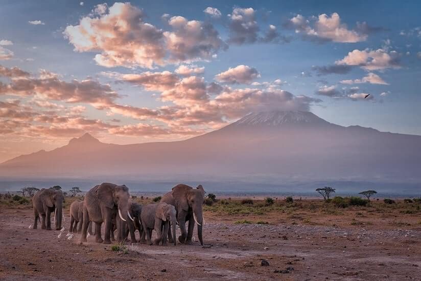 Exploring the Fascinating Tanzanian Culture