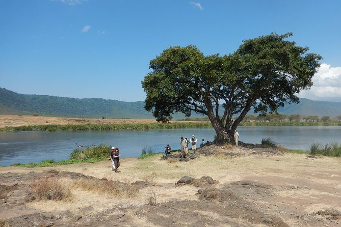 Exploring the Magnificent Ngorongoro Crater