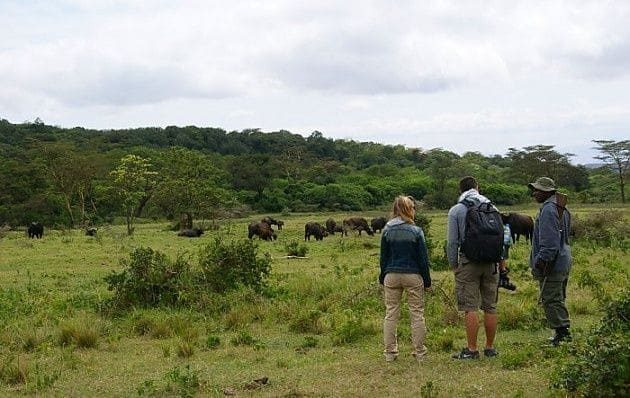 Exploring the Presence of an Airport in Arusha