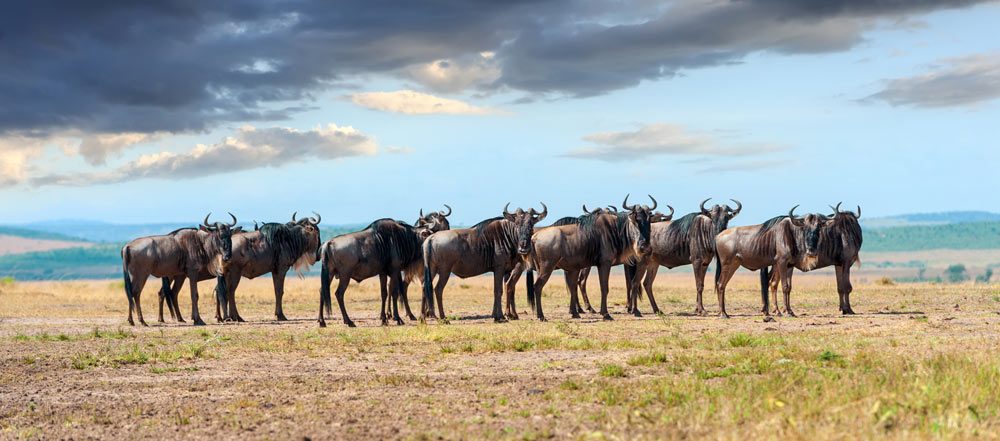 Exploring the Rich History of Arusha National Park