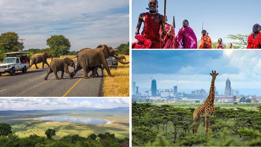Exploring the Safety of Tanzania Safaris: Expert Insights