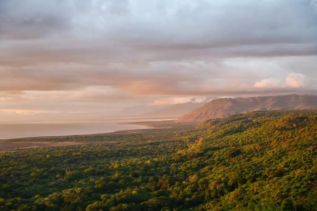Exploring the Top Attractions of Lake Manyara National Park