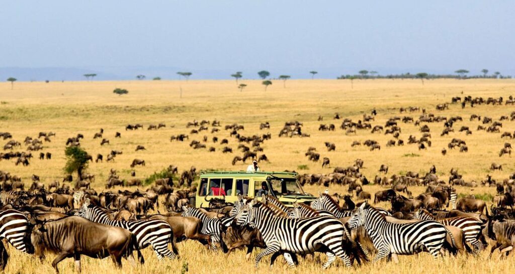 Exploring the Top Attractions of Ngorongoro Conservation Area