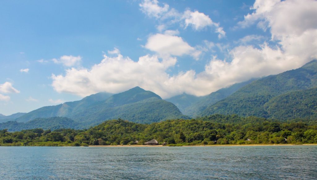 Exploring the Wildlife of Mahale Mountains National Park