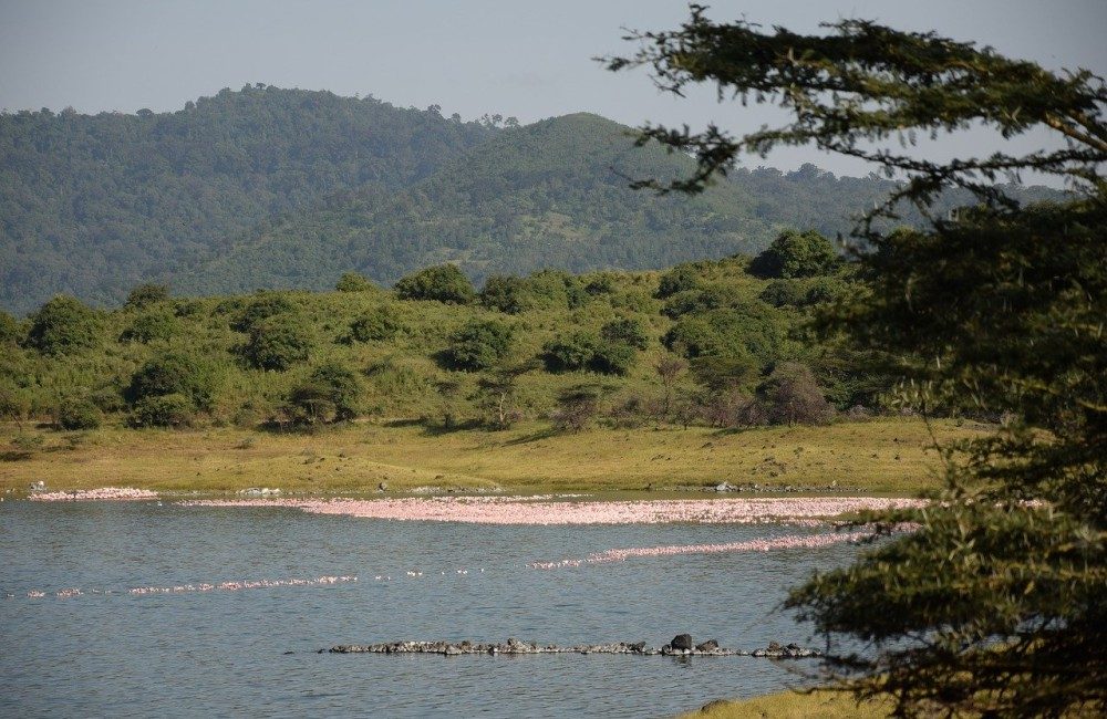 Exploring the Wonders of Arusha National Park