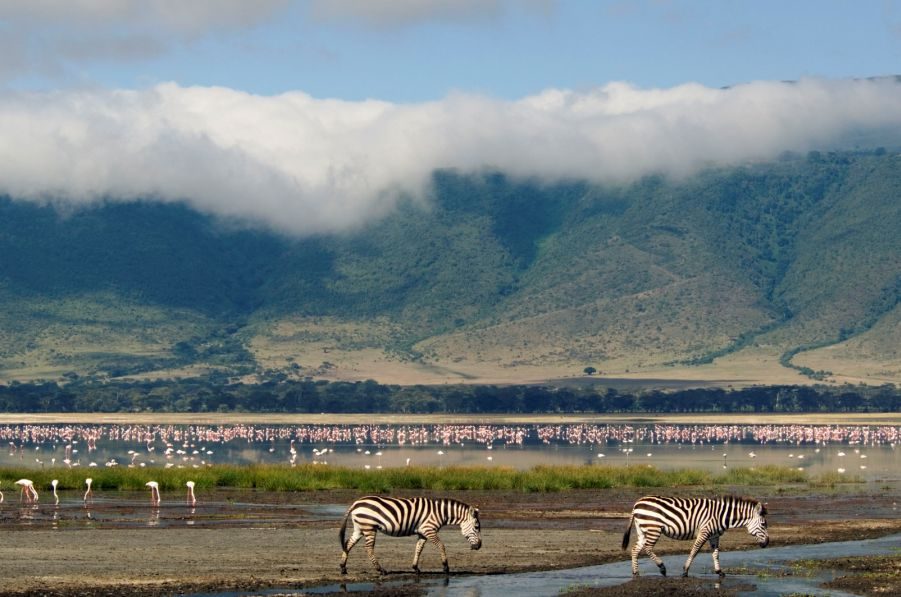 Exploring the Wonders of Ngorongoro Conservation Area