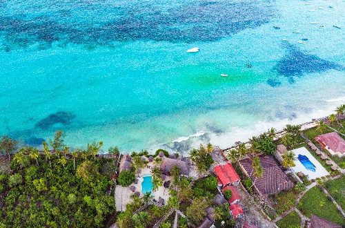 Exploring Zanzibar: The Ultimate Beach and Safari Holidays