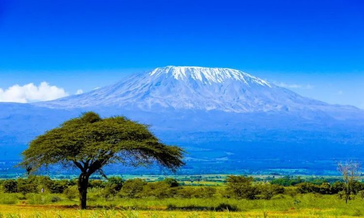 Fatalities on Mount Kilimanjaro: A Closer Look