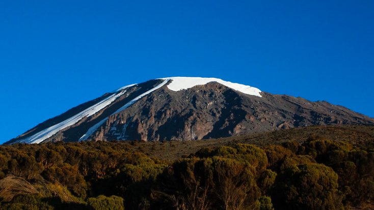 Fauna of Kilimanjaro National Park