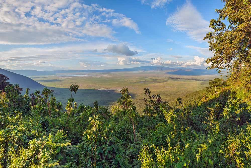 Ibanda-Kyerwa National