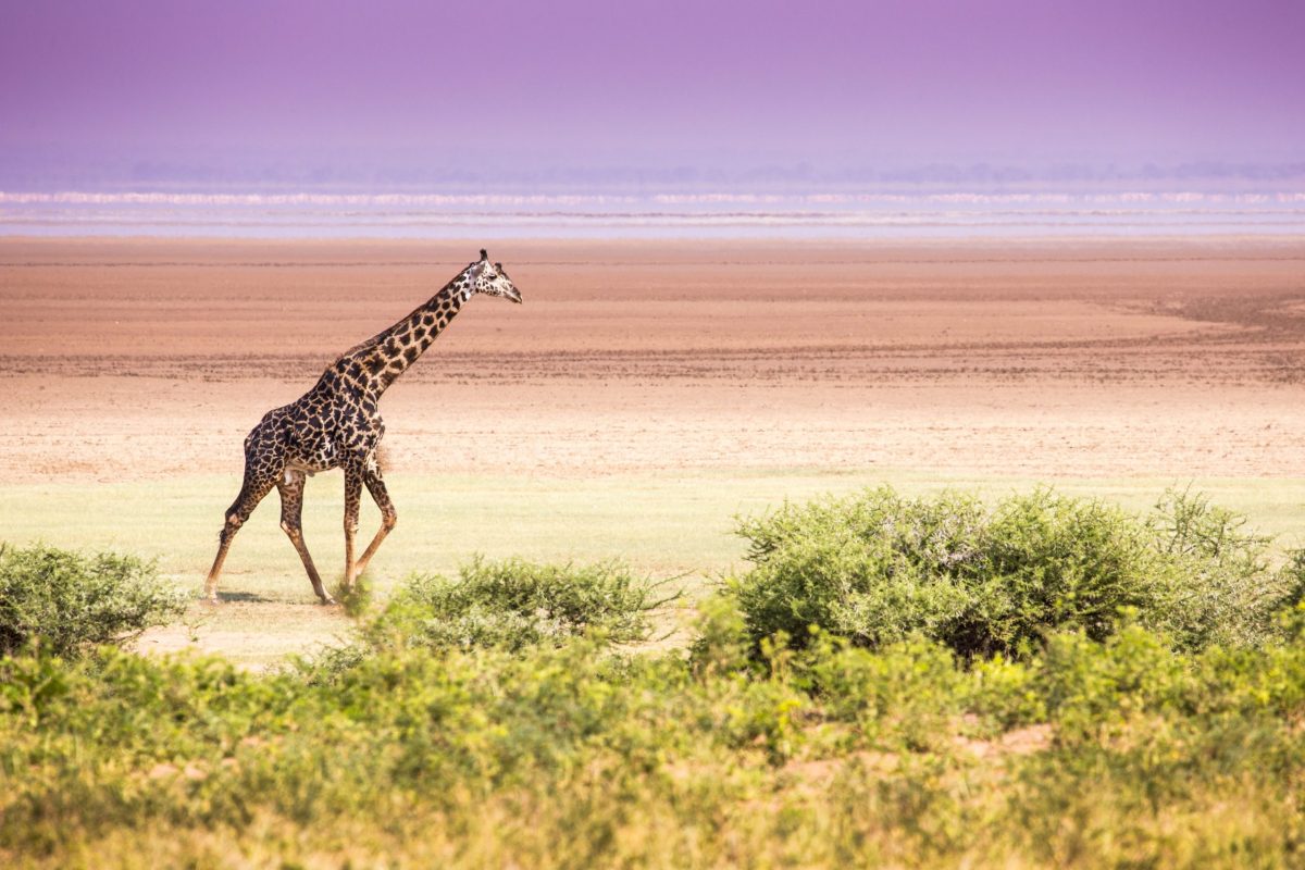 Lake Manyara