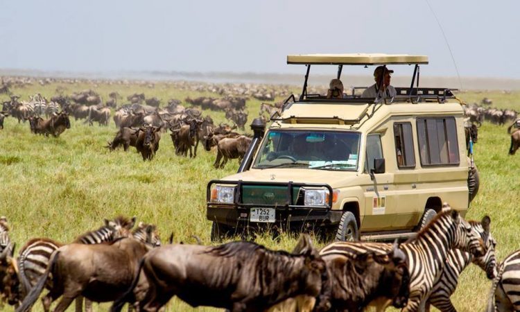 Lake Manyara