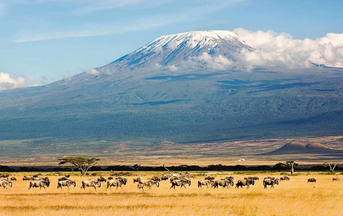 Mount Kilimanjaro