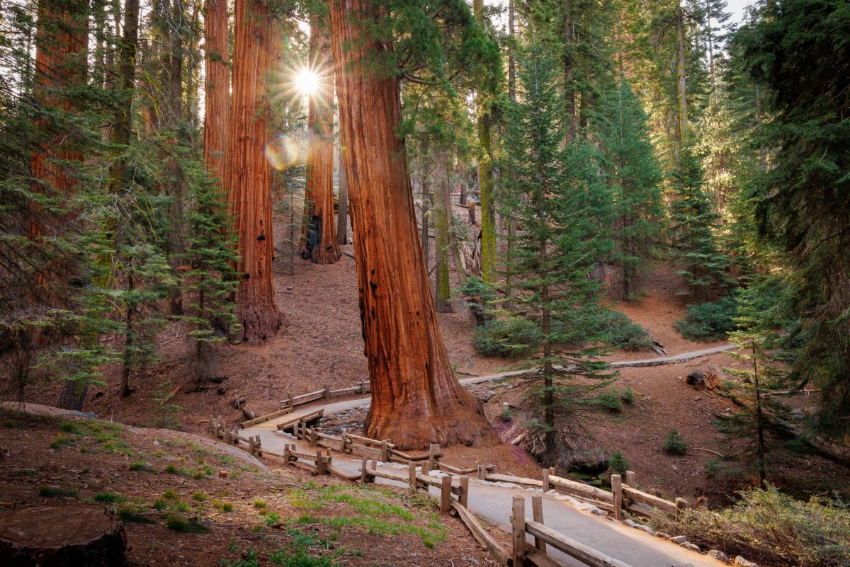 National Park
