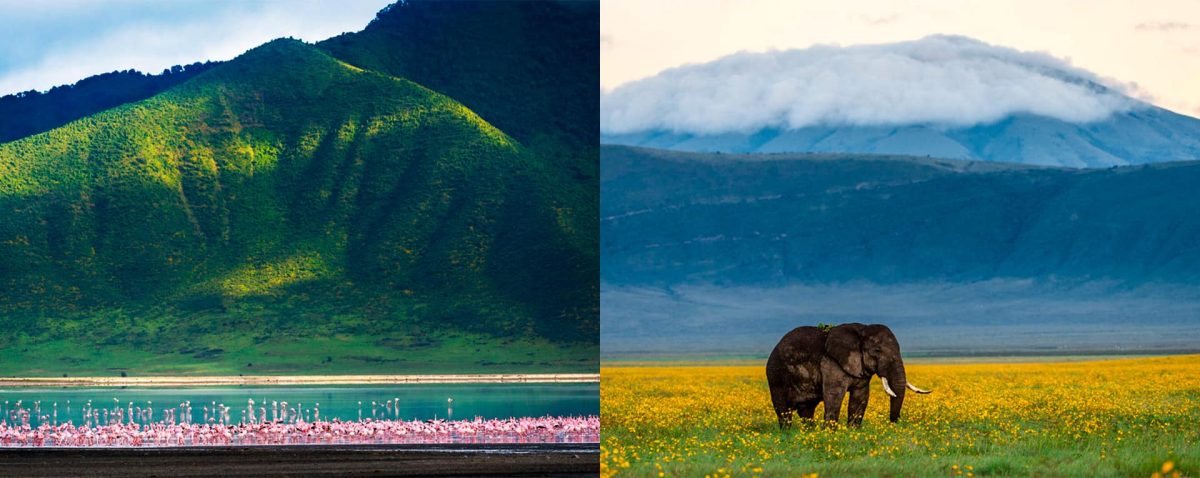 Ngorongoro Crater
